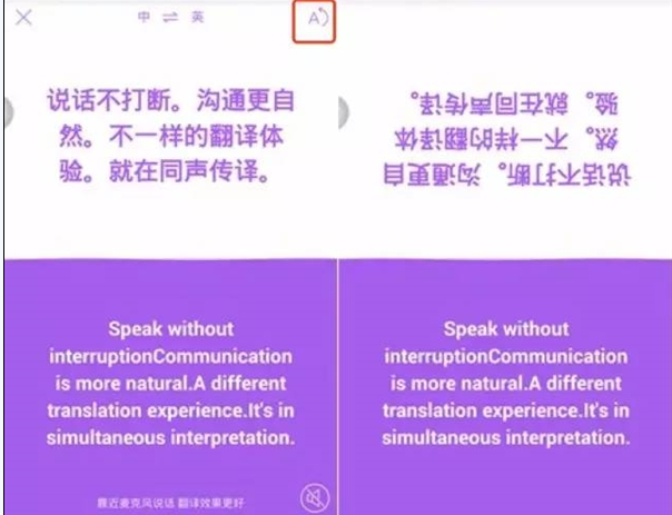 博主给公鸡穿上芒果做的“新鞋”