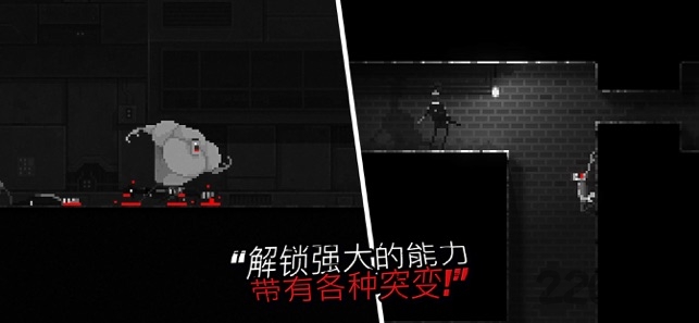 “还要等20年”！黄仁勋泼冷水